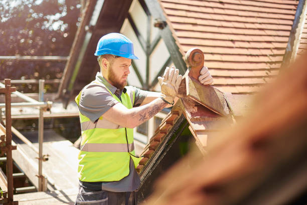 Best Roof Gutter Cleaning  in Fort Montgomery, NY